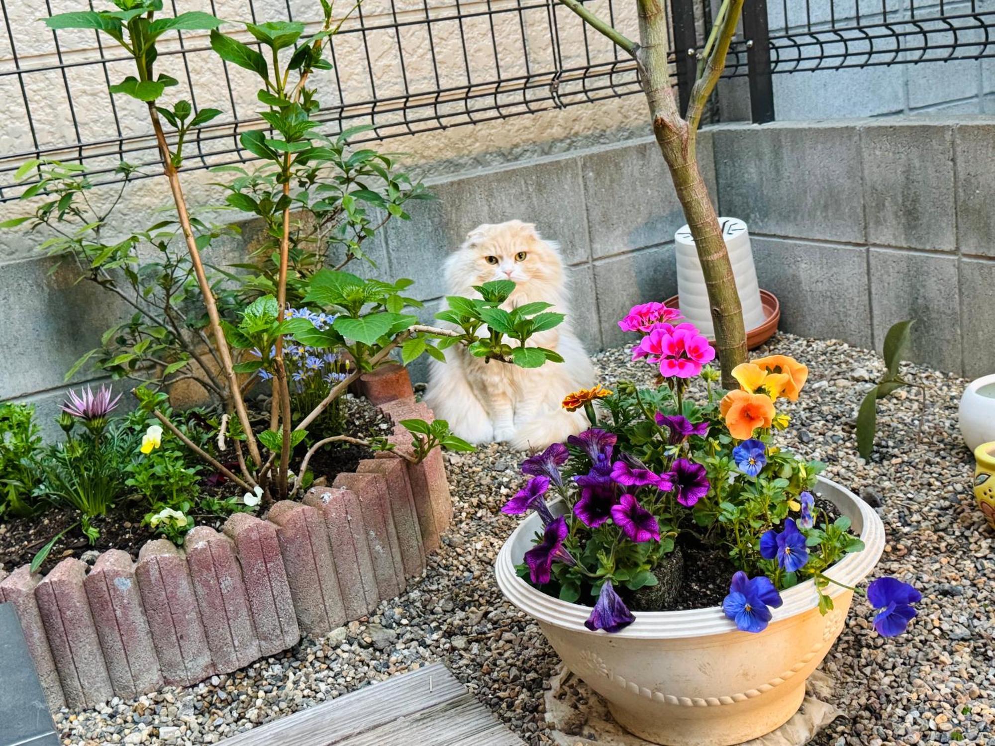 ホテル 遥華-Haruka House 京都市 エクステリア 写真